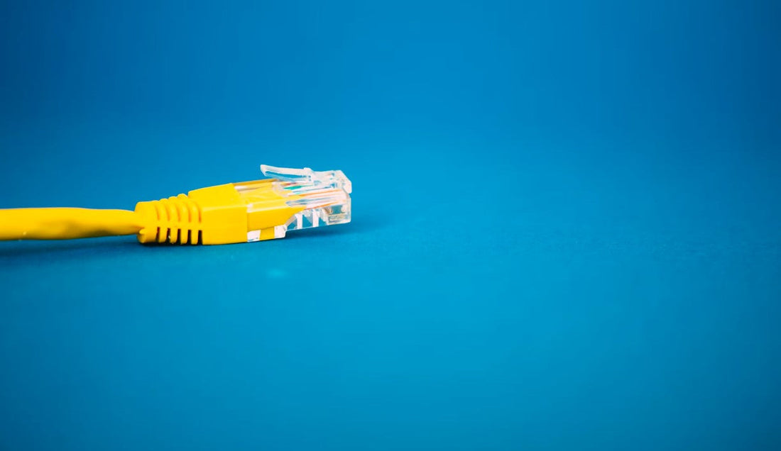 LAN Cable vs Ethernet Cable vs Network Cable: What Are the Differences?