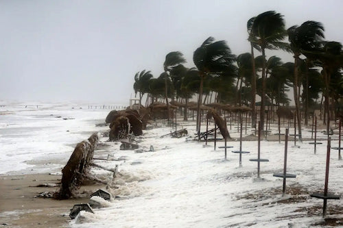 How to Prepare for a Tropical Storm: Essential Tips and Safety Measures